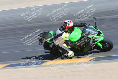 media/Feb-03-2024-SoCal Trackdays (Sat) [[767c60a41c]]/10-Turn 10 Inside (130pm)/